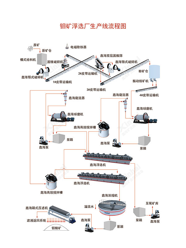 钼矿选矿工艺流程