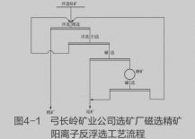 采用磁选-阳离子反浮选工艺处理磁铁矿的实例