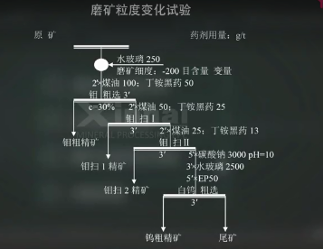 磨矿粒度变化试验