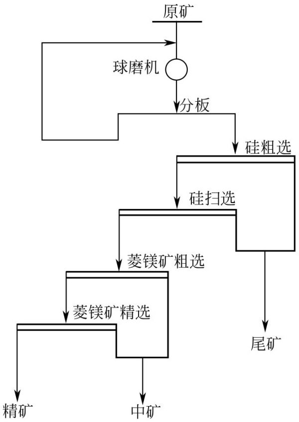 山东菱镁矿浮选案例.jpg