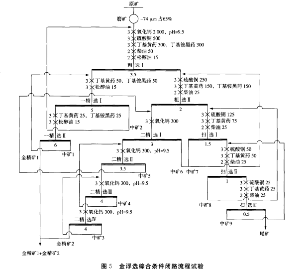 含碳高的金矿浮选工艺流程图