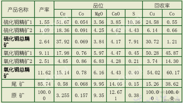 全流程闭路试验结果